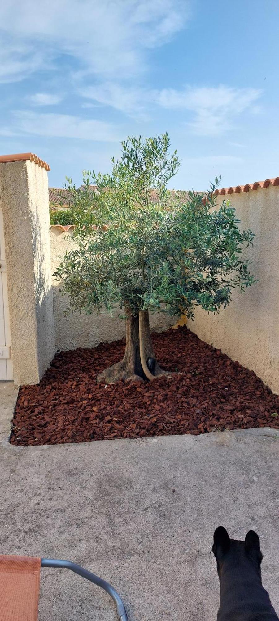 Agreable Petite Maison 2 Chambres, De 48m2 Sans Vis-a-vis Et Parking Privatif *